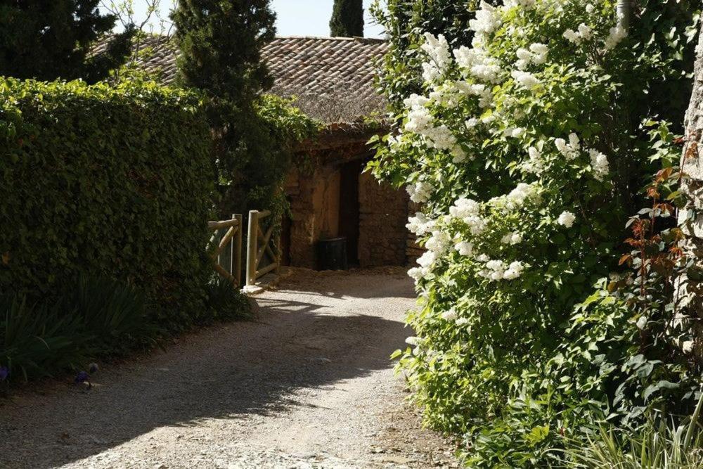 Masia Cal Millas - Turisme Rural Castellfullit de Riubregos Ngoại thất bức ảnh
