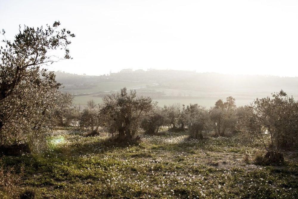 Masia Cal Millas - Turisme Rural Castellfullit de Riubregos Ngoại thất bức ảnh
