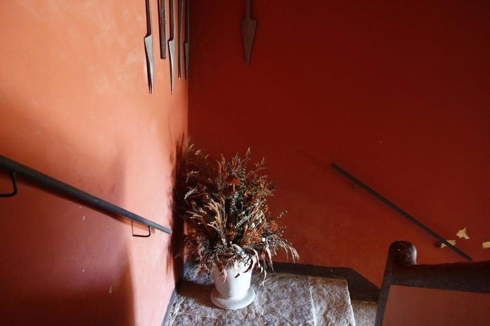 Masia Cal Millas - Turisme Rural Castellfullit de Riubregos Ngoại thất bức ảnh
